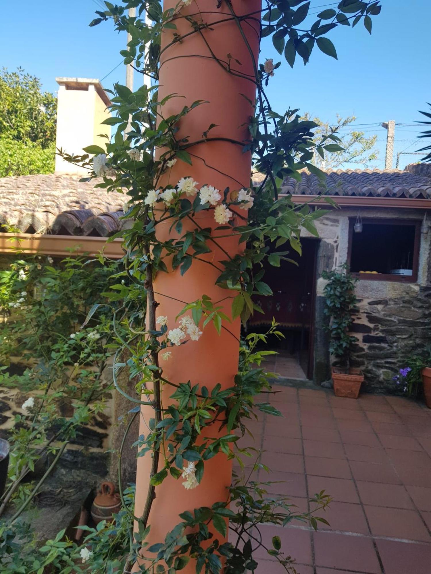 Apartment Virita *